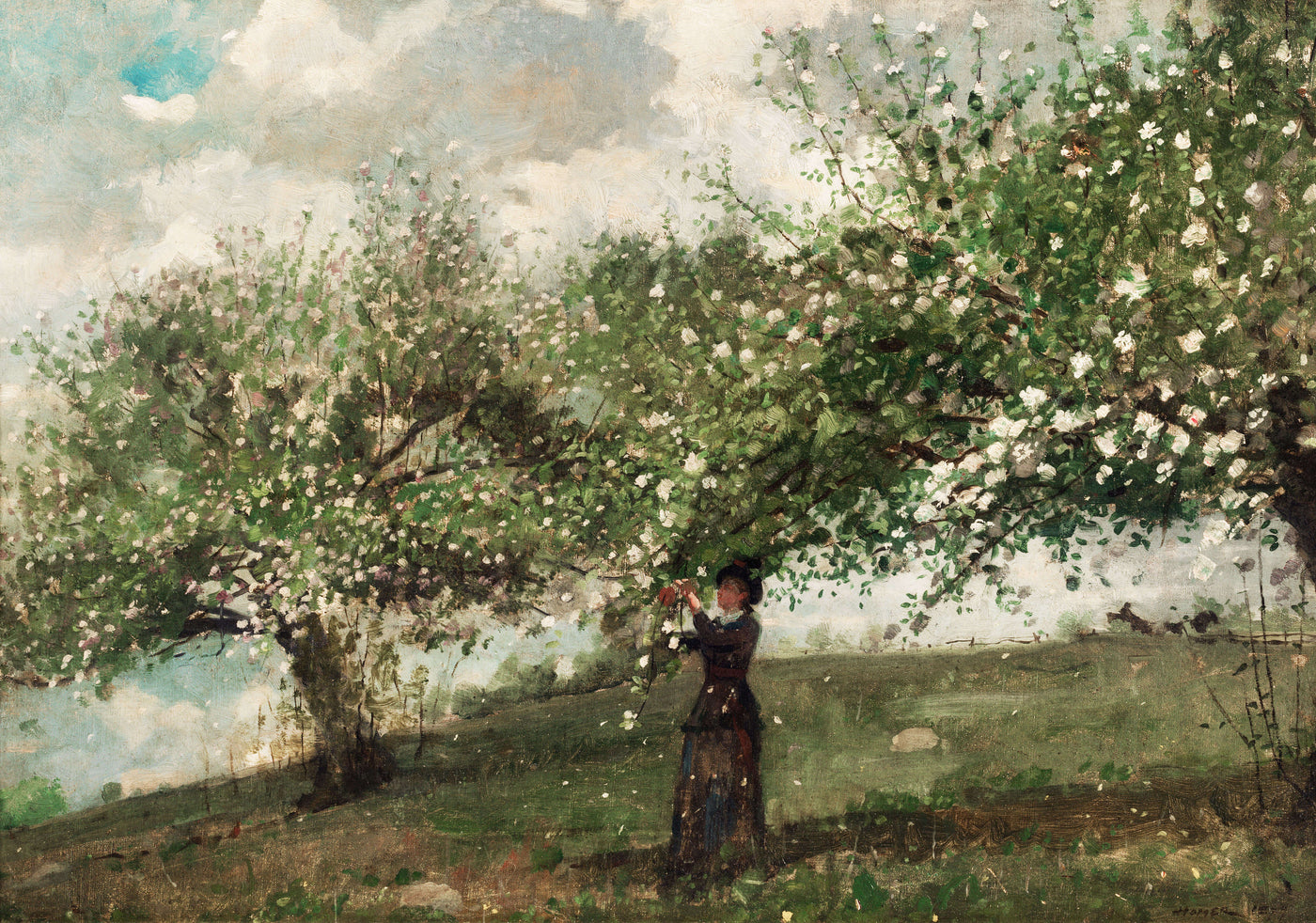 In Her Orchard